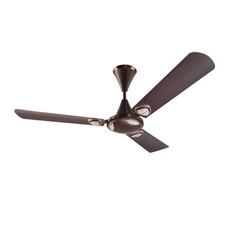 celing fan